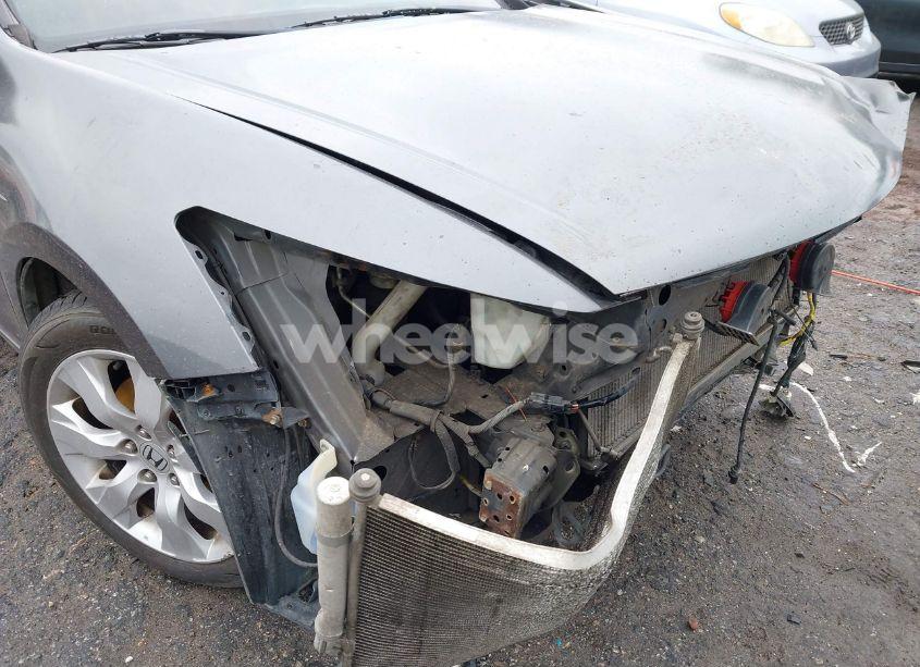 Photo 14 of 2009 Honda Accord 2.4 EX-L (VIN 1HGCP26849A092496)