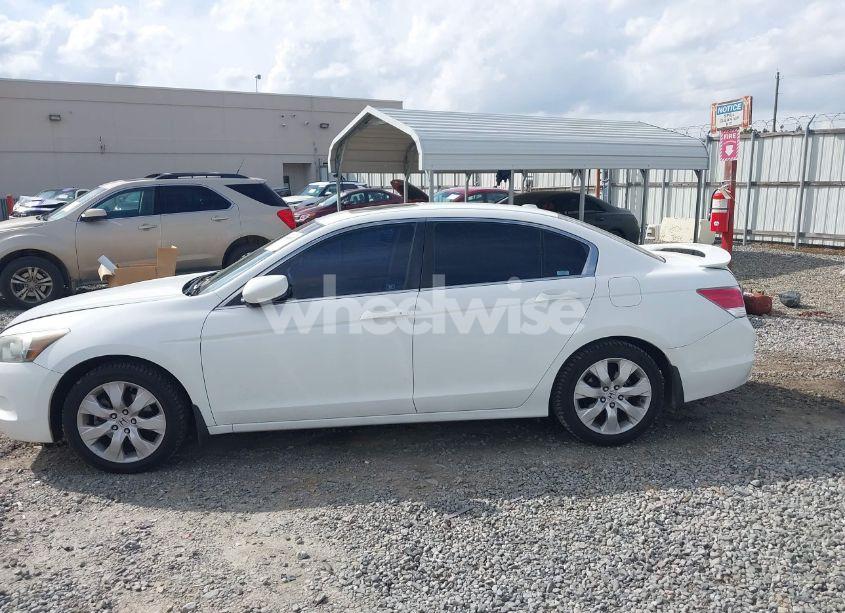 Photo 14 of 2009 Honda Accord 2.4 EX-L (VIN 1HGCP26849A120054)