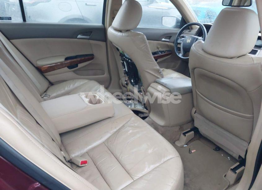 Photo 8 of 2009 Honda Accord 2.4 EX-L (VIN 1HGCP26849A143513)