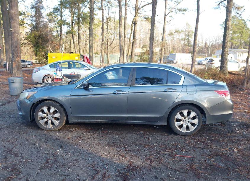Photo 14 of 2009 Honda Accord 2.4 EX-L (VIN 1HGCP26849A145231)