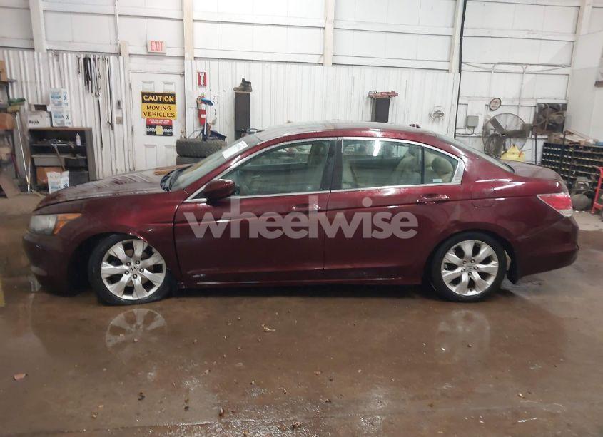 Photo 14 of 2008 Honda Accord 2.4 EX-L (VIN 1HGCP26858A004778)