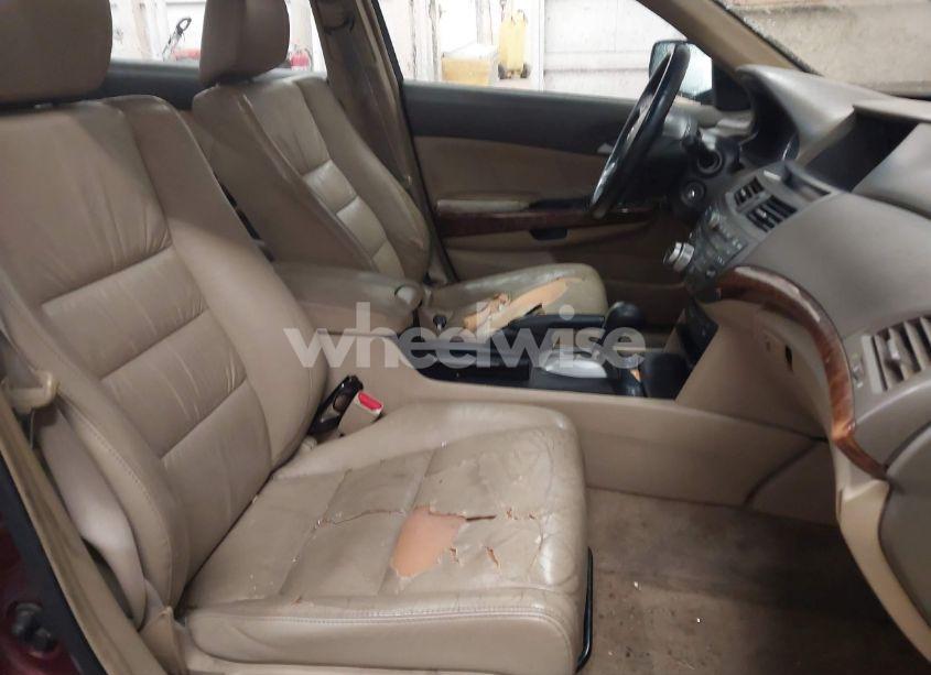 Photo 5 of 2008 Honda Accord 2.4 EX-L (VIN 1HGCP26858A004778)