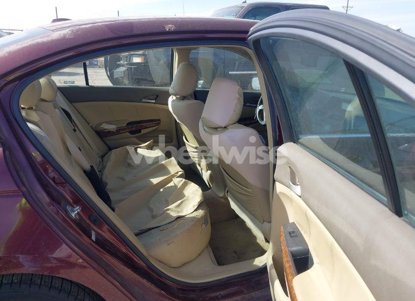 Photo 8 of 2009 Honda Accord 2.4 EX-L (VIN 1HGCP26859A007522)