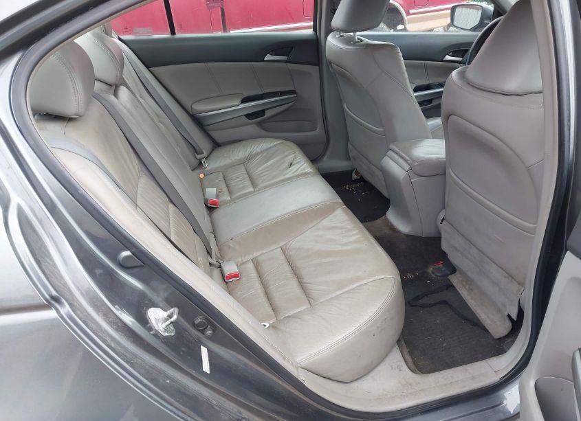 Photo 8 of 2008 Honda Accord 2.4 EX-L (VIN 1HGCP26868A036364)