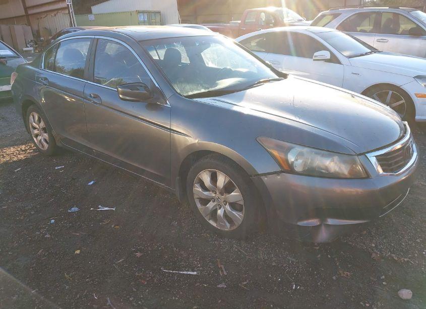 Photo 12 of 2008 Honda Accord 2.4 EX-L (VIN 1HGCP26868A144242)