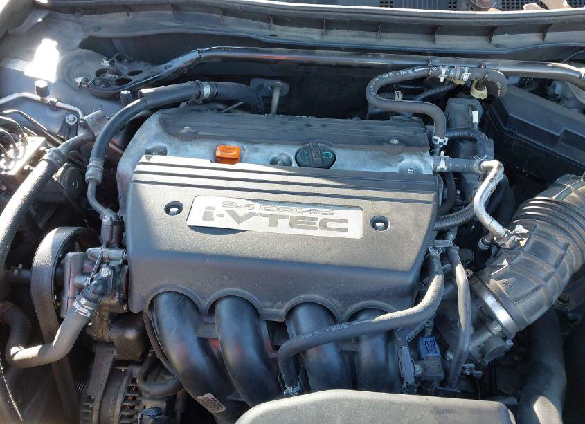 Photo 10 of 2009 Honda Accord 2.4 EX-L (VIN 1HGCP26869A116863)