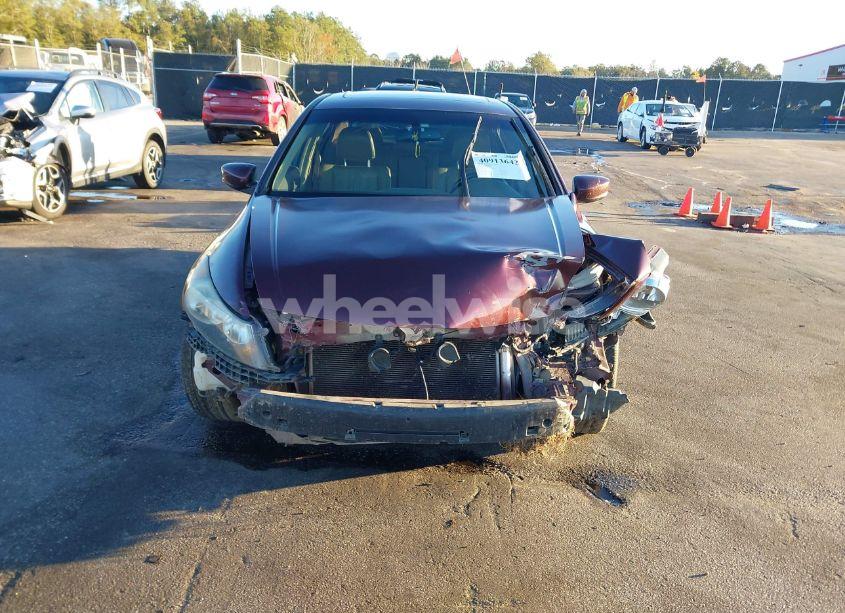 Photo 12 of 2008 Honda Accord 2.4 EX-L (VIN 1HGCP26878A095827)