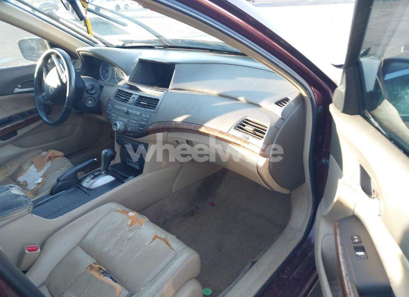 Photo 5 of 2008 Honda Accord 2.4 EX-L (VIN 1HGCP26878A095827)