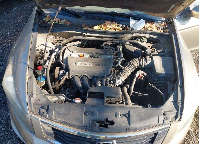 Photo 10 of 2009 Honda Accord 2.4 EX-L (VIN 1HGCP26879A028064)