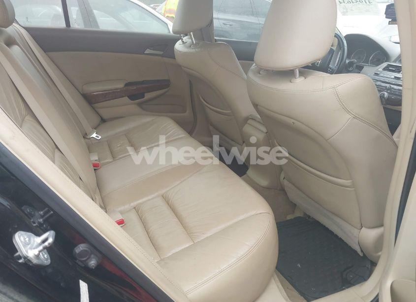 Photo 8 of 2009 Honda Accord 2.4 EX-L (VIN 1HGCP26879A113454)