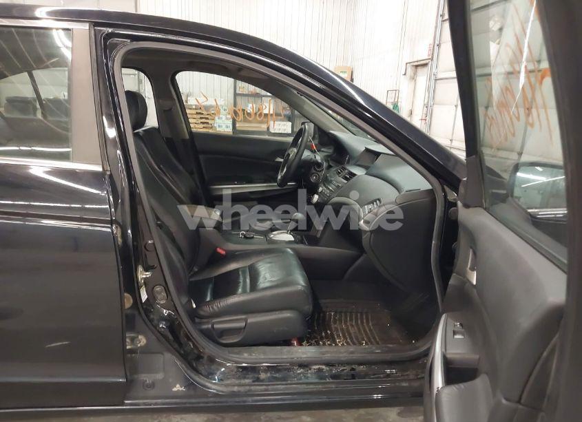 Photo 5 of 2008 Honda Accord 2.4 EX-L (VIN 1HGCP26888A042294)