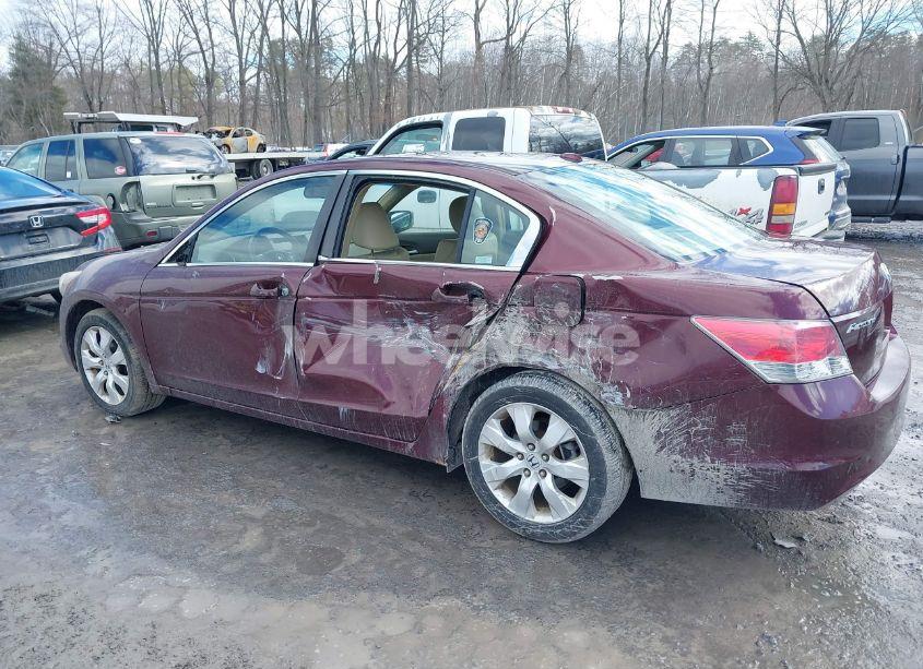 Photo 6 of 2008 Honda Accord 2.4 EX-L (VIN 1HGCP26888A158949)