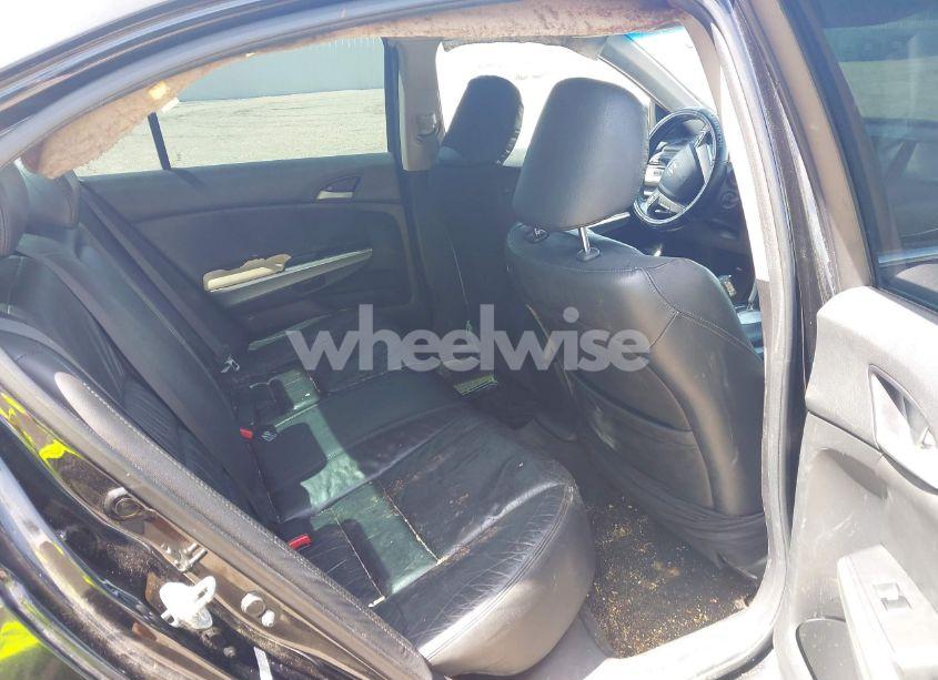 Photo 8 of 2009 Honda Accord 2.4 EX-L (VIN 1HGCP26889A076608)