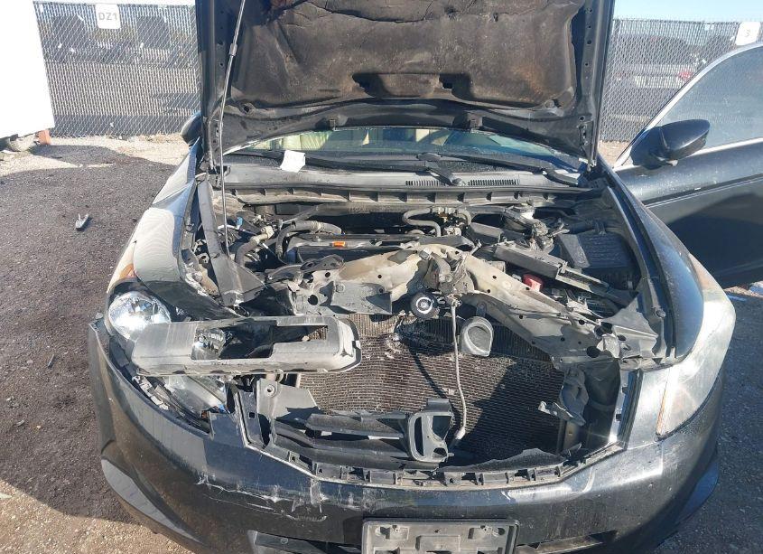 Photo 10 of 2009 Honda Accord 2.4 EX-L (VIN 1HGCP26889A126262)