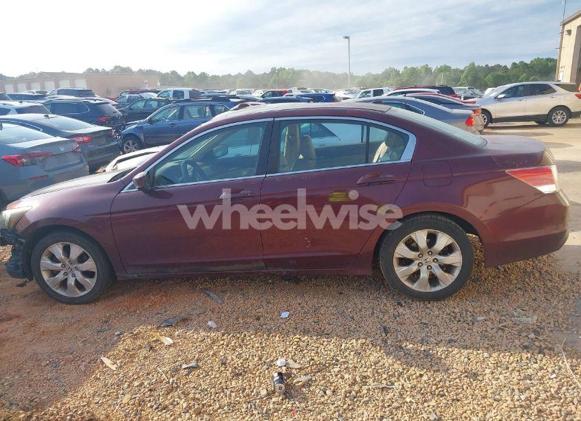 Photo 14 of 2009 Honda Accord 2.4 EX-L (VIN 1HGCP26889A137245)