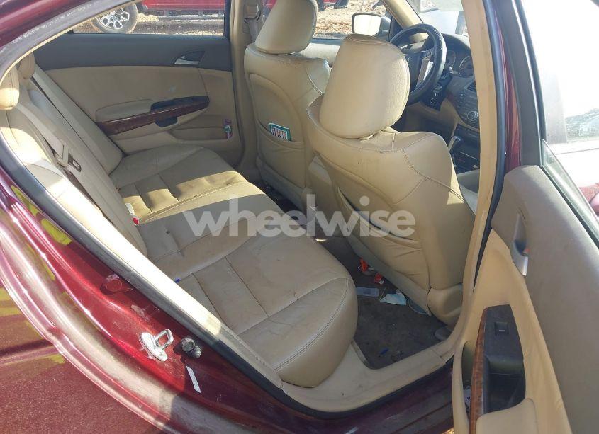 Photo 8 of 2009 Honda Accord 2.4 EX-L (VIN 1HGCP26889A137245)