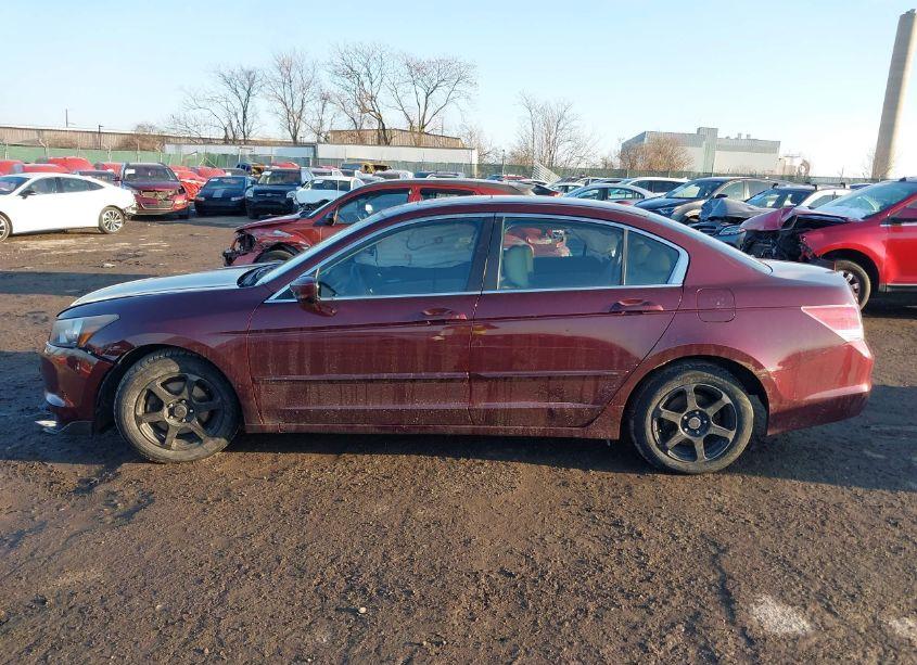 Photo 14 of 2008 Honda Accord 2.4 EX-L (VIN 1HGCP26898A079239)