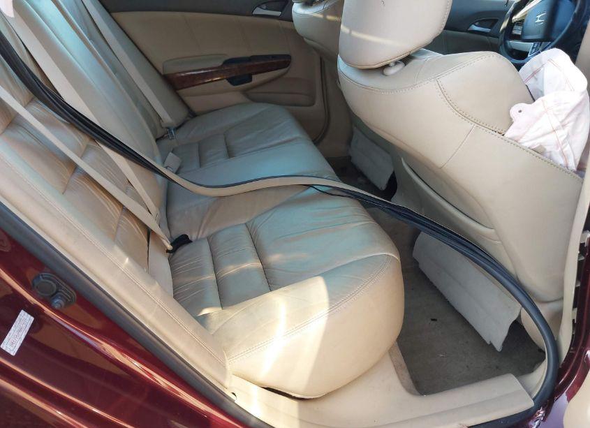 Photo 8 of 2008 Honda Accord 2.4 EX-L (VIN 1HGCP26898A079239)