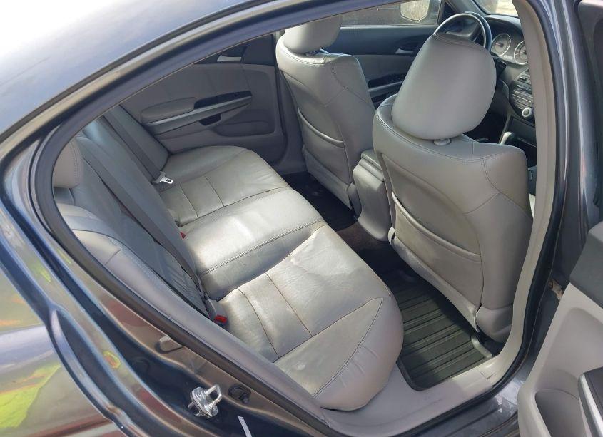 Photo 8 of 2008 Honda Accord 2.4 EX-L (VIN 1HGCP26898A156921)