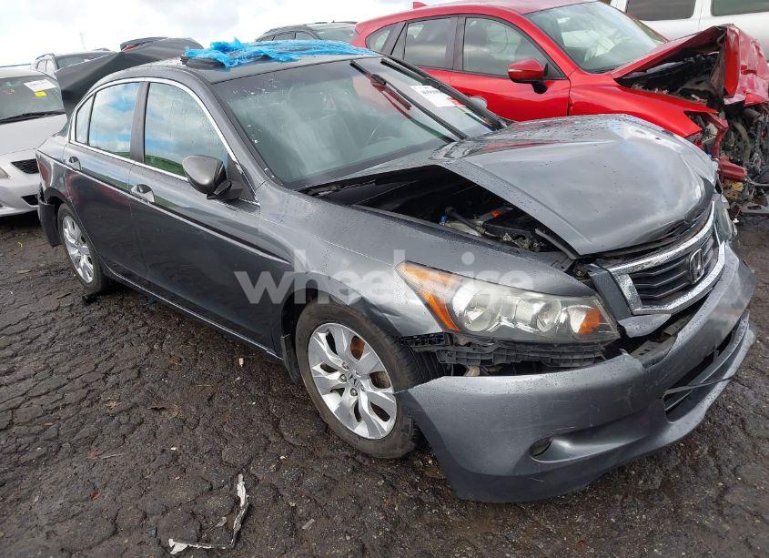 2009 Honda Accord 2.4 EX-L (VIN 1HGCP26899A053323) main photo