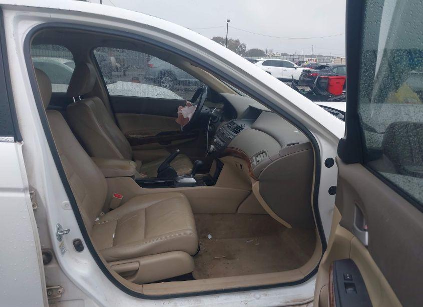 Photo 5 of 2009 Honda Accord 2.4 EX-L (VIN 1HGCP26899A065956)