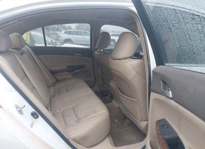 Photo 8 of 2009 Honda Accord 2.4 EX-L (VIN 1HGCP26899A065956)