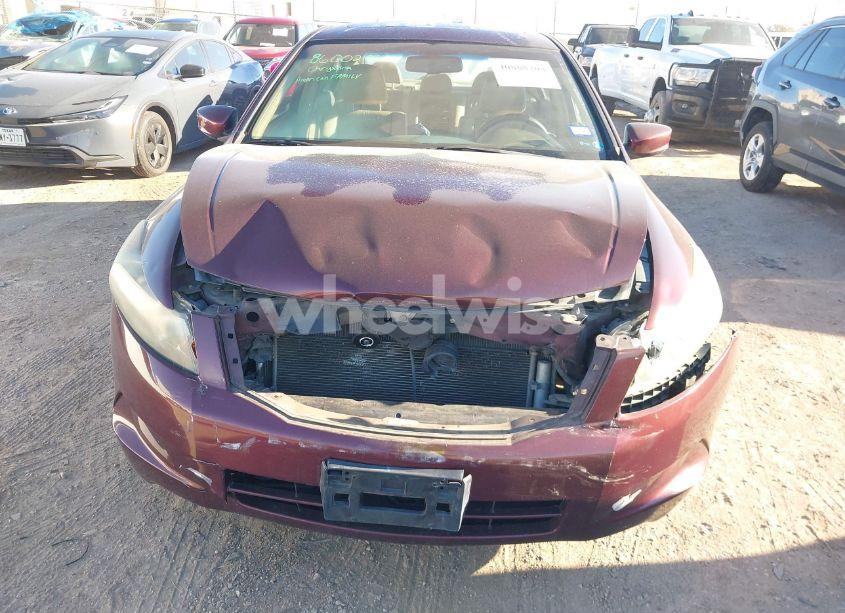 Photo 6 of 2008 Honda Accord 2.4 EX-L (VIN 1HGCP268X8A040630)