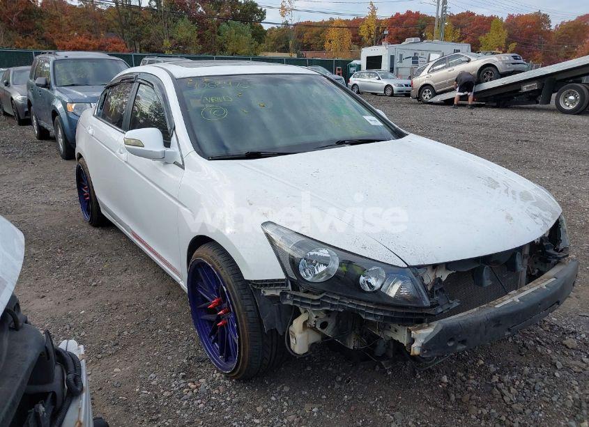 2008 Honda Accord 2.4 EX-L (VIN 1HGCP268X8A048825) main photo