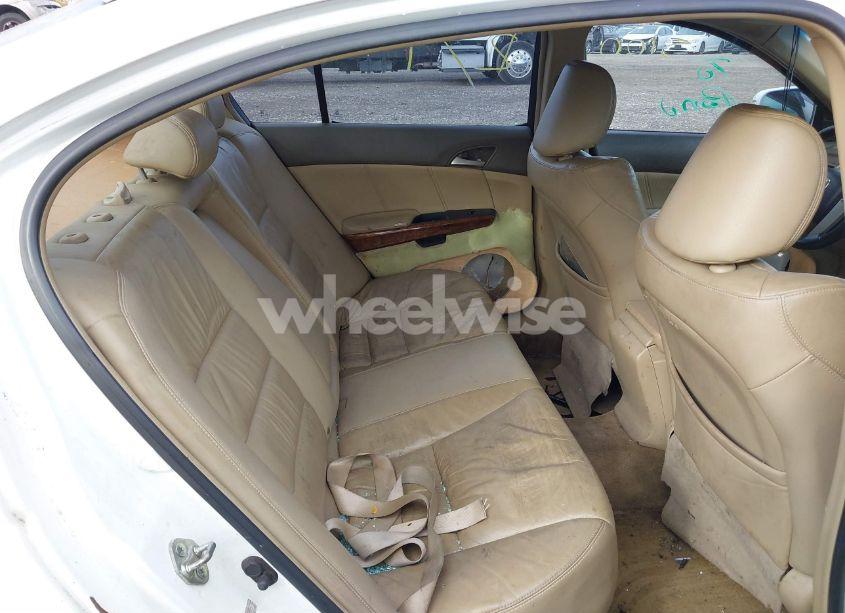 Photo 8 of 2008 Honda Accord 2.4 EX-L (VIN 1HGCP268X8A048825)