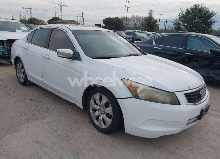 2008 Honda Accord 2.4 EX-L (VIN 1HGCP268X8A083459) main photo