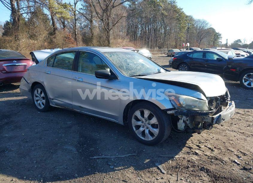 Photo 14 of 2008 Honda Accord 2.4 EX-L (VIN 1HGCP268X8A104052)