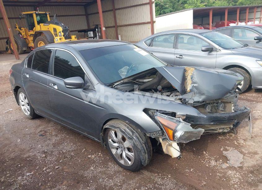 2009 Honda Accord 2.4 EX-L (VIN 1HGCP268X9A013381) main photo