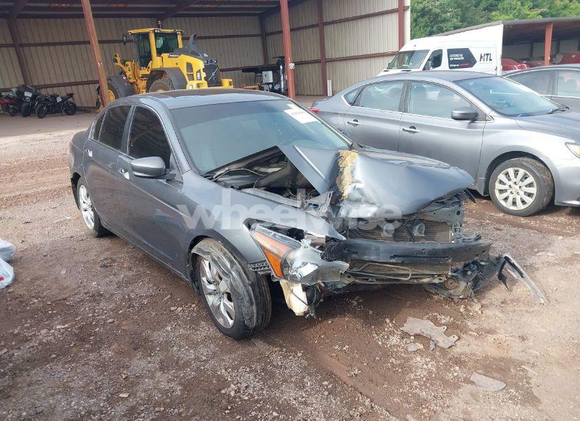 Photo 12 of 2009 Honda Accord 2.4 EX-L (VIN 1HGCP268X9A013381)