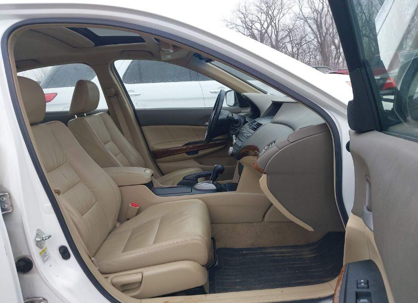 Photo 5 of 2009 Honda Accord 2.4 EX-L (VIN 1HGCP268X9A040483)