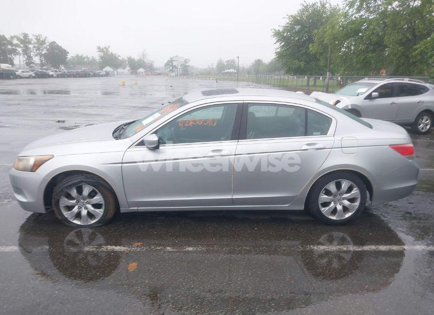 Photo 13 of 2009 Honda Accord 2.4 EX-L (VIN 1HGCP268X9A082474)