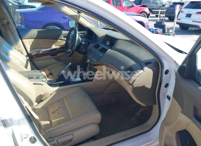 Photo 5 of 2009 Honda Accord 2.4 EX-L (VIN 1HGCP268X9A094222)