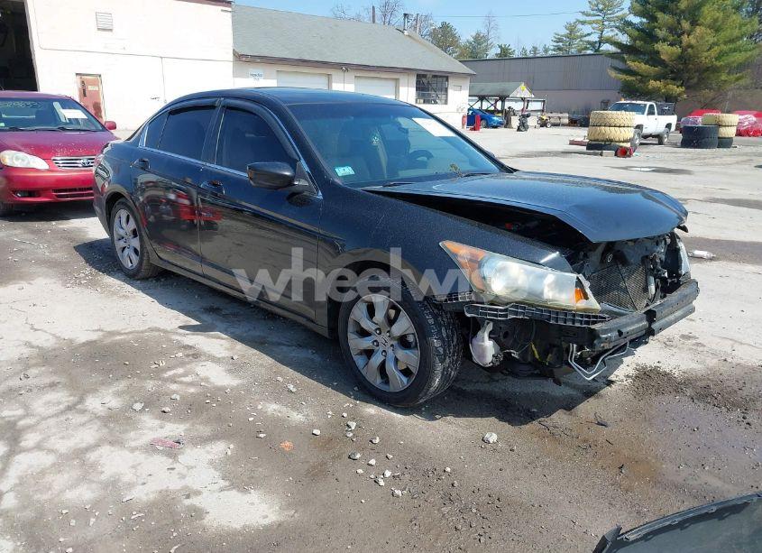 2009 Honda Accord 2.4 EX-L (VIN 1HGCP268X9A095466) main photo