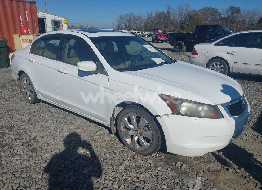 2009 Honda Accord 2.4 EX-L (VIN 1HGCP268X9A116333) main photo