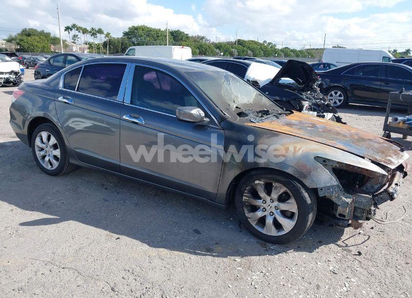 2009 Honda Accord 2.4 EX-L (VIN 1HGCP268X9A131432) main photo