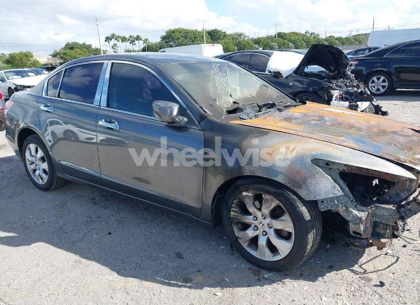 Photo 13 of 2009 Honda Accord 2.4 EX-L (VIN 1HGCP268X9A131432)