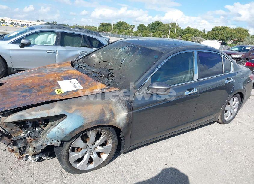 Photo 14 of 2009 Honda Accord 2.4 EX-L (VIN 1HGCP268X9A131432)