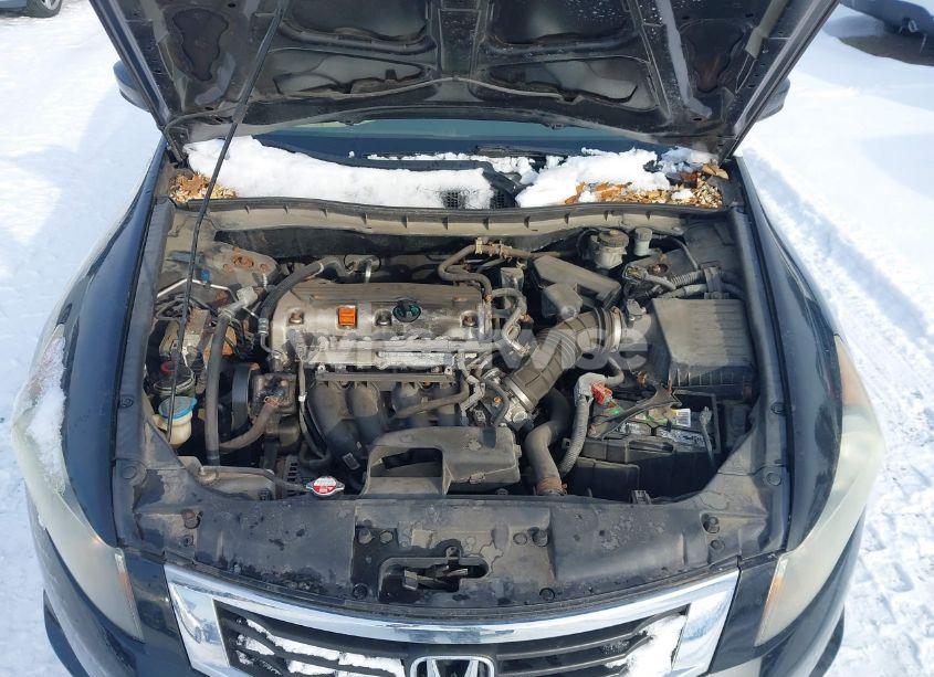 Photo 10 of 2010 Honda Accord 2.4 LX (VIN 1HGCP2E37AA039978)