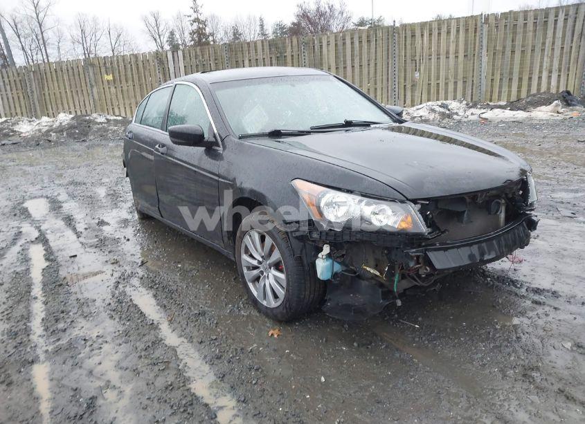 2011 Honda Accord 2.4 EX (VIN 1HGCP2E70BA062555) main photo