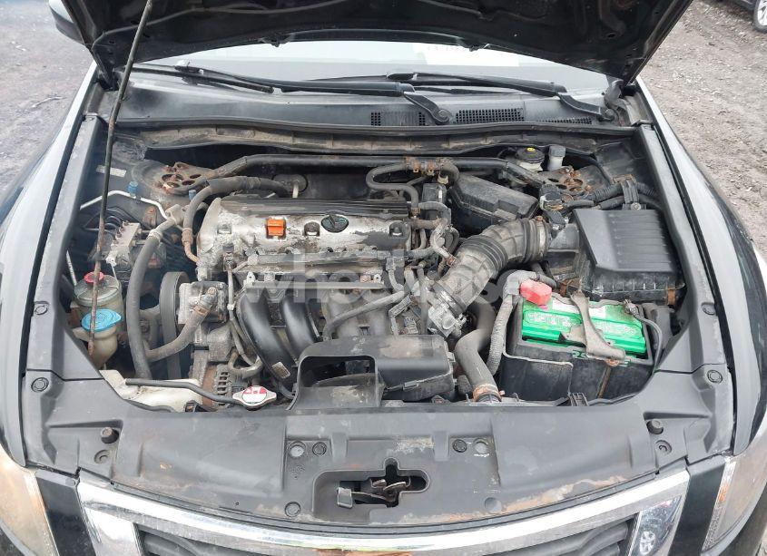 Photo 10 of 2010 Honda Accord 2.4 EX (VIN 1HGCP2E75AA062842)