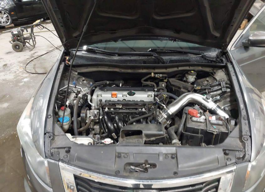 Photo 10 of 2010 Honda Accord 2.4 LX (VIN 1HGCP2F30AA171981)