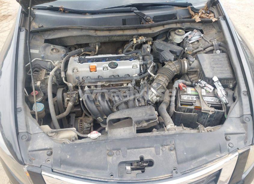 Photo 10 of 2010 Honda Accord 2.4 LX (VIN 1HGCP2F31AA008515)