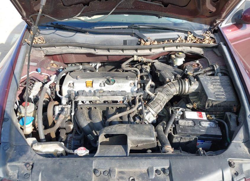 Photo 10 of 2010 Honda Accord 2.4 LX (VIN 1HGCP2F31AA016436)