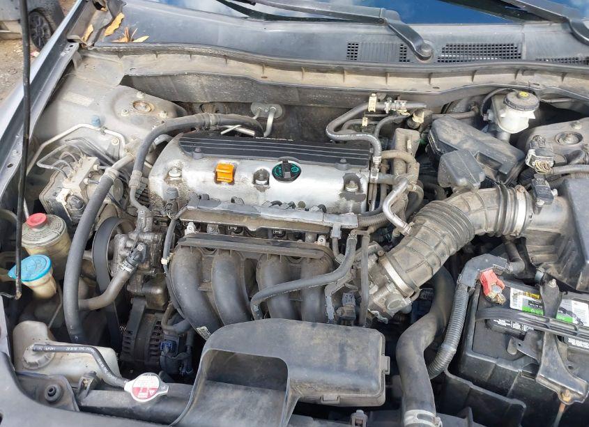 Photo 10 of 2010 Honda Accord 2.4 LX (VIN 1HGCP2F31AA126385)