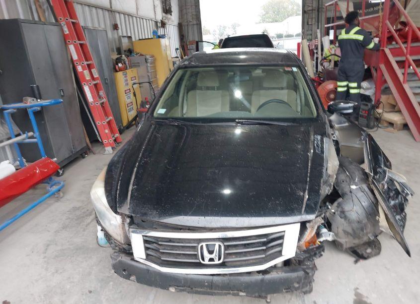 Photo 11 of 2010 Honda Accord 2.4 LX (VIN 1HGCP2F33AA145570)