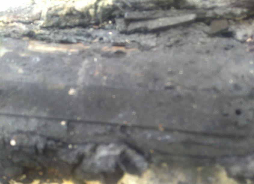 Photo 9 of 2010 Honda Accord 2.4 LX (VIN 1HGCP2F34AA168629)